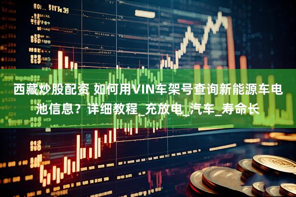 西藏炒股配资 如何用VIN车架号查询新能源车电池信息？详细教程_充放电_汽车_寿命长