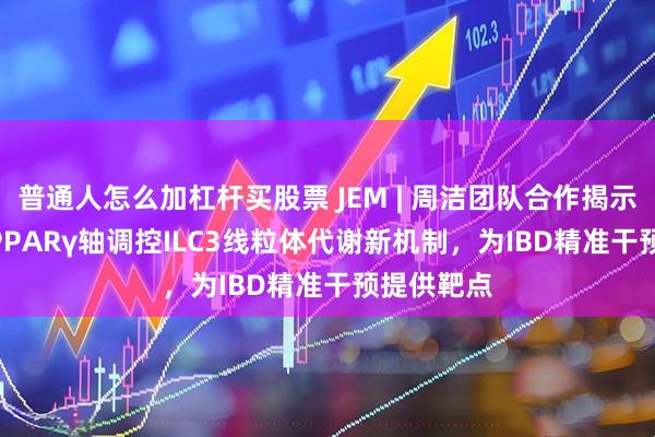 普通人怎么加杠杆买股票 JEM | 周洁团队合作揭示BACH2-PPARγ轴调控ILC3线粒体代谢新机制，为IBD精准干预提供靶点